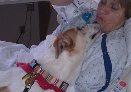 Canine Good Citizen visits Hospital